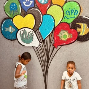 CIPID Salvador – Inclusão ao Idoso e Pessoa com Deficiência (9)